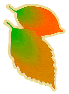 leaf5