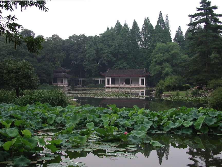 Botanical Garden, Hangzhou \n (Click for next picture)